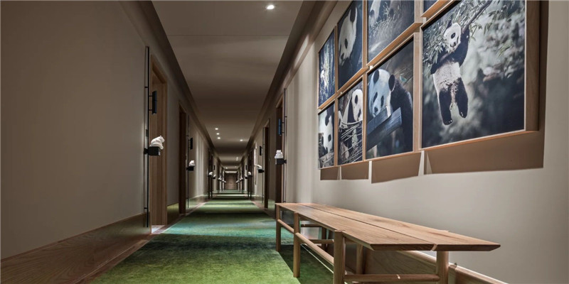 酒店客房走廊設計-成都熊貓很困精品主題酒店設計方案賞析